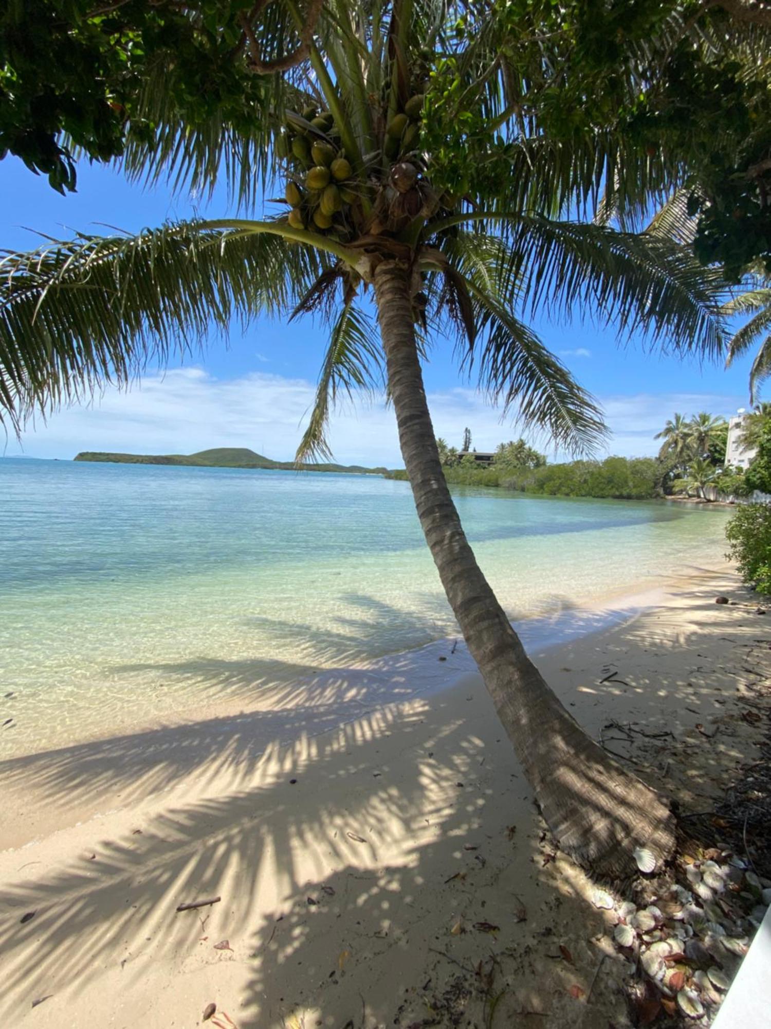 Michelle'S Flat By The Sea Apartment Noumea Luaran gambar